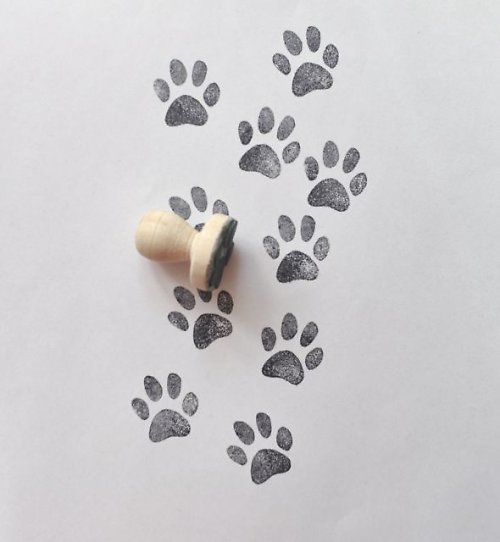 Stopy — foto 2