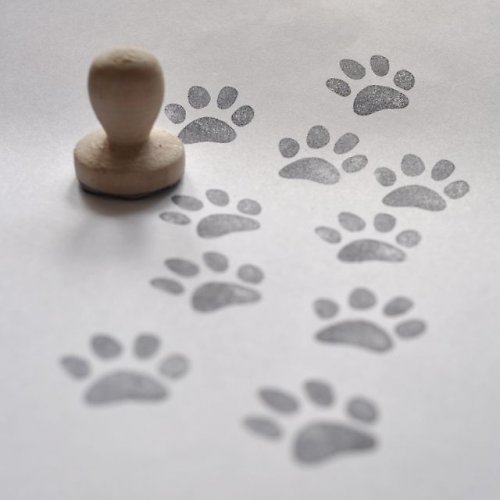 Stopy — foto 3