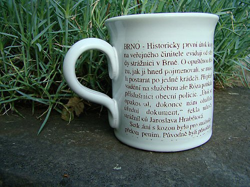 Novinářská kachna — foto 2