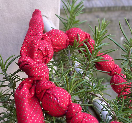 Gold strawberry — foto 3