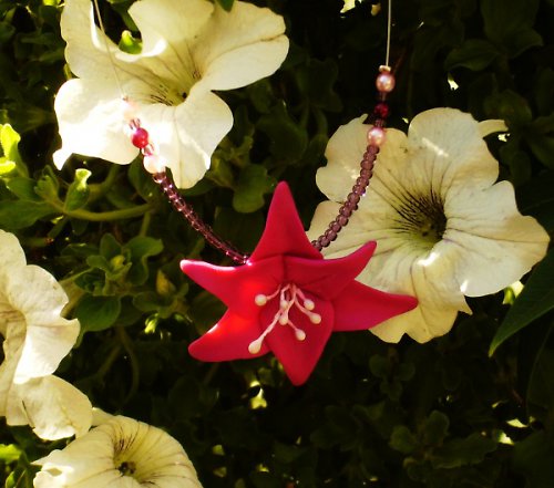Lillie — foto 2