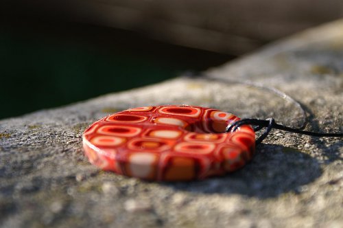 Crazy life — foto 3