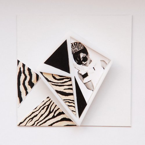 With zebra — foto 2