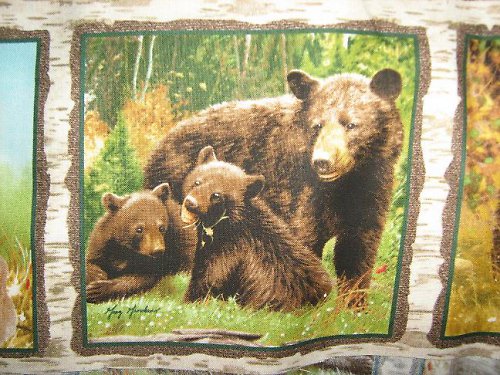Panel - méďové — foto 2