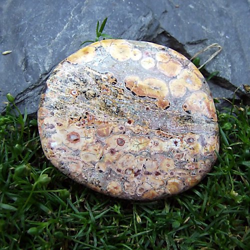 Jaspis Leopardí — foto 2