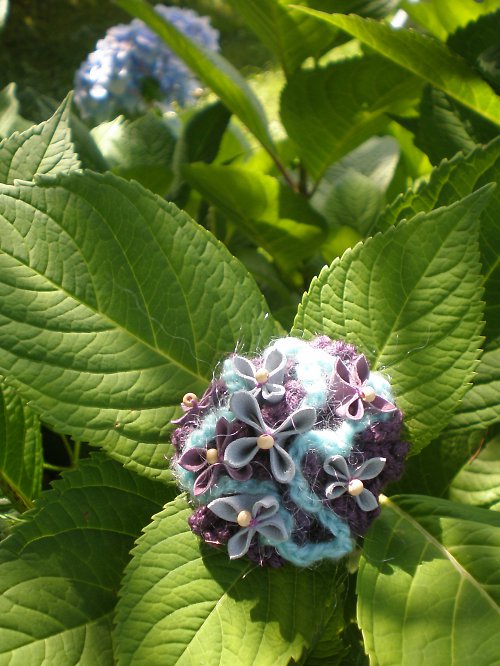 Modrá Hortenzie — foto 2