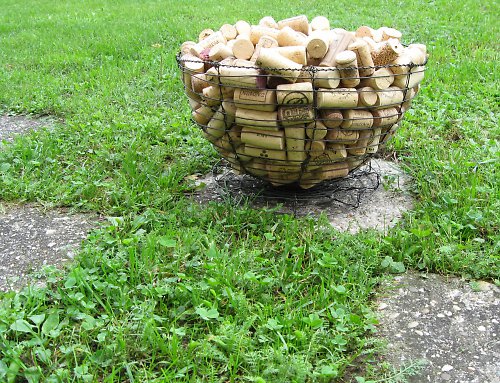 Ovíněné drátoví — foto 3