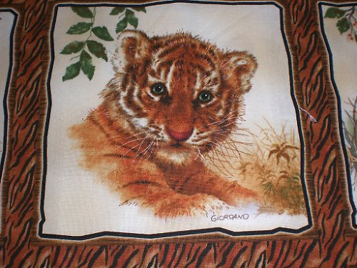 Panel safari — foto 2