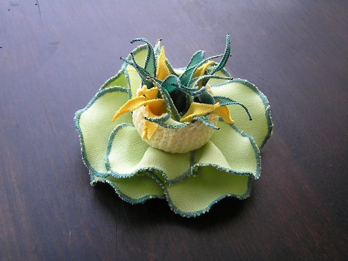 Pan Zelíčko — foto 3