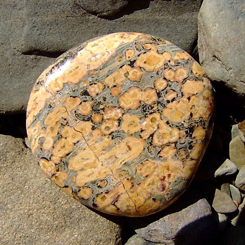 Jaspis Leopardí — foto 2