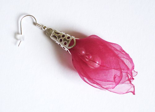 Fuchsiové poupátka — foto 3