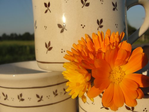 Pohodové — foto 3