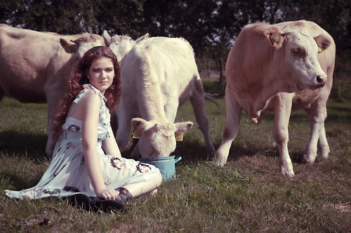 Lou and her cows - one blue — foto 2