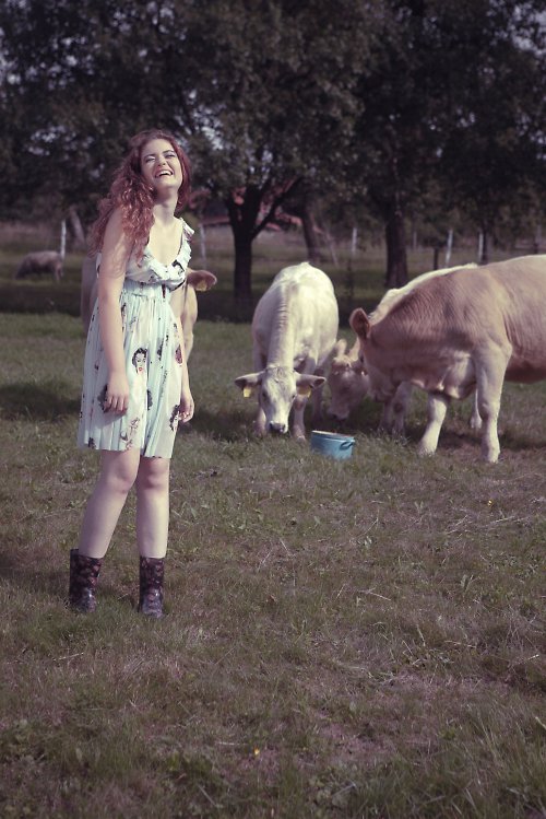 Lou and her cows - one blue — foto 3