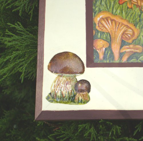 Obrázek - podzimní pohoda — foto 3