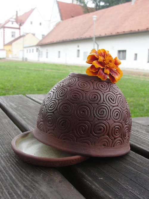 Spirálkovitý — foto 4