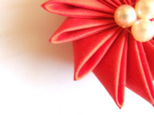 Jiřinka — foto 2