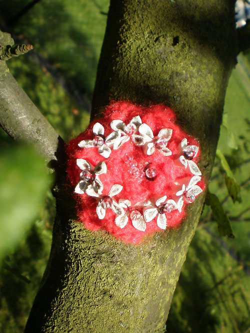 Červená chlupatá — foto 2