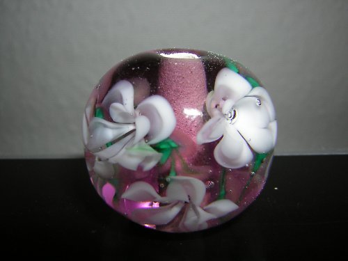 Fialovobílá — foto 2