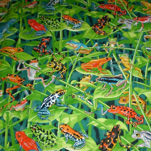 Psychedeličtí mloci — foto 2