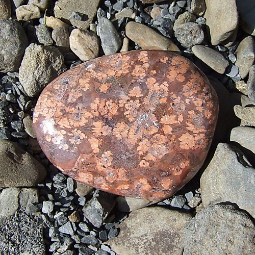 Jaspis Leopardí — foto 2