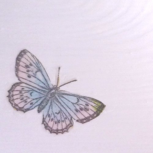 Cécile de Provence — foto 6