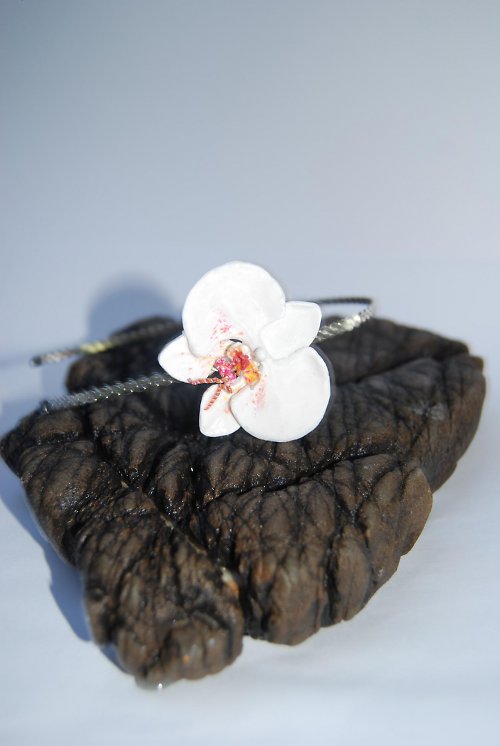 Orchidea Novalis — foto 2