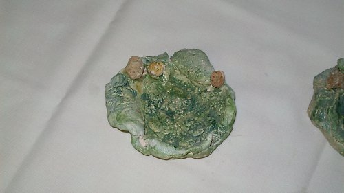 Svícen dvojitý — foto 2