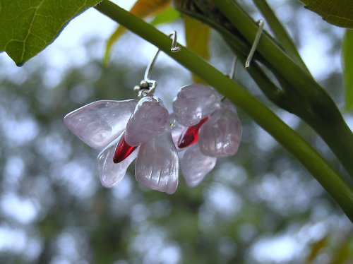 Some blossom — foto 4