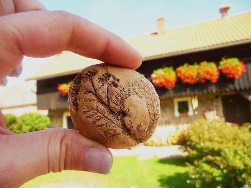 Těžítko-řebříček — foto 4