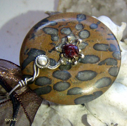 Africký amulet - hvězdičkovití — foto 2