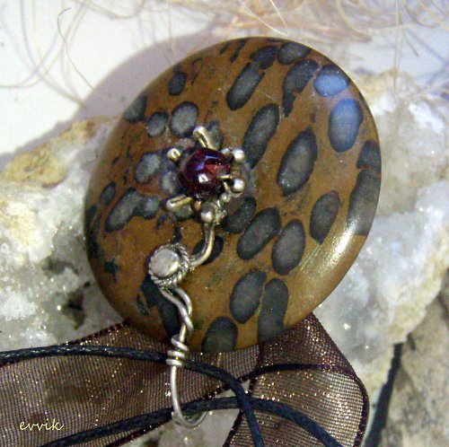 Africký amulet - hvězdičkovití — foto 3