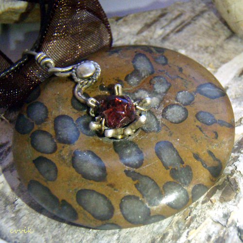Africký amulet - hvězdičkovití — foto 4