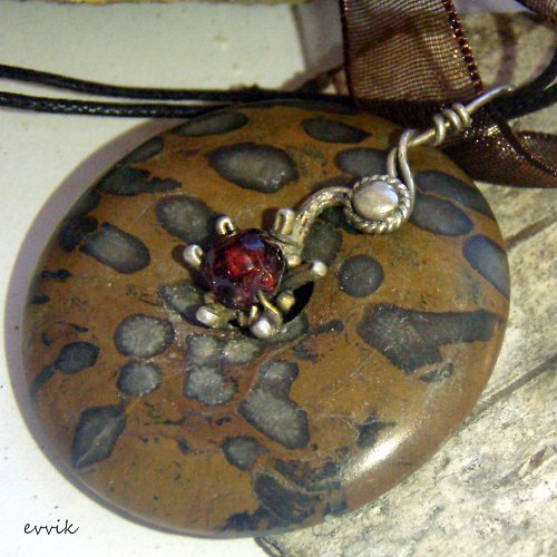 Africký amulet - hvězdičkovití — foto 5