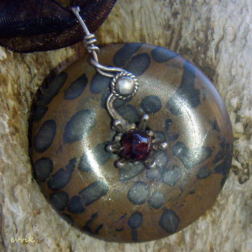 Africký amulet - hvězdičkovití — foto 6