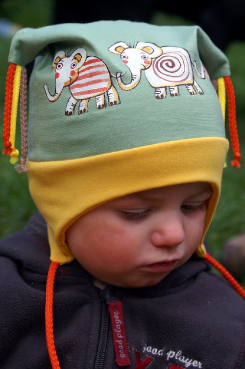 Tři sloníci jdou .... — foto 3