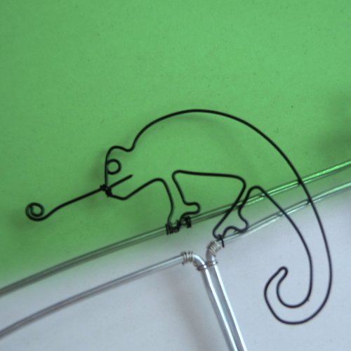 VĚŠÁČEK - chameleon — foto 3