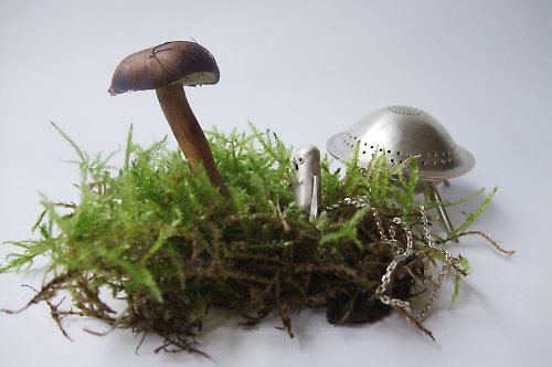 Čajítko Ufo - samička — foto 4