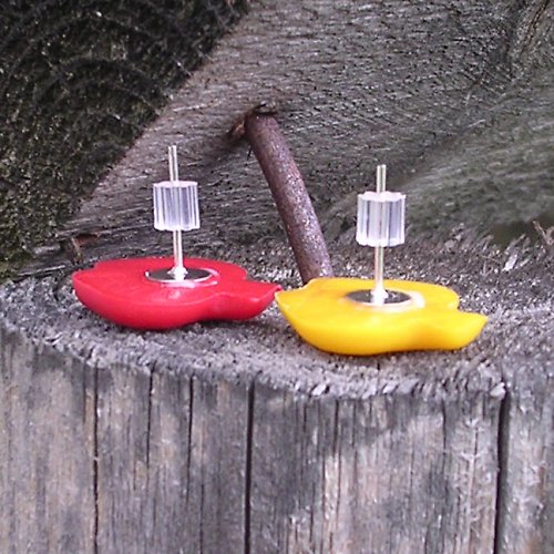 Apples — foto 2