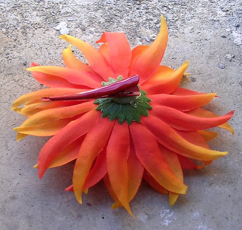Autumn flower — foto 3
