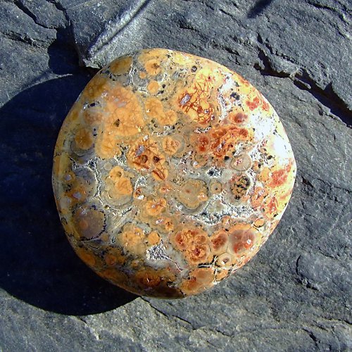 Jaspis Leopardí — foto 2