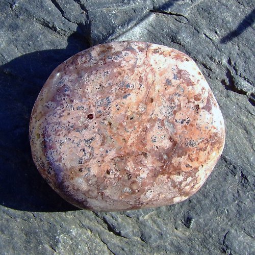 Jaspis Leopardí — foto 2
