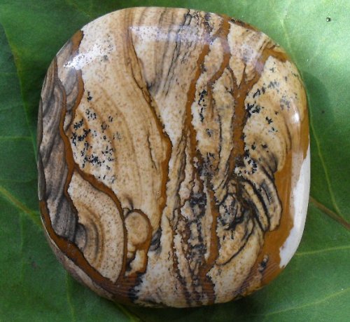 Obrázkový jaspis 45x41mm — foto 2