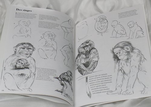 Knížka LES ANIMAUX - kresba — foto 2