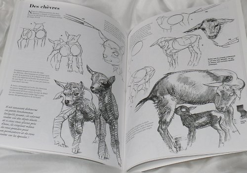 Knížka LES ANIMAUX - kresba — foto 3