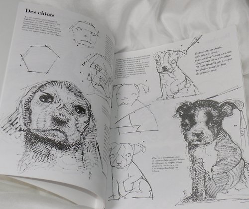 Knížka LES ANIMAUX - kresba — foto 4