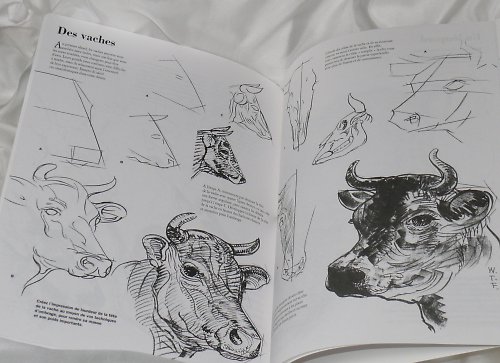Knížka LES ANIMAUX - kresba — foto 5