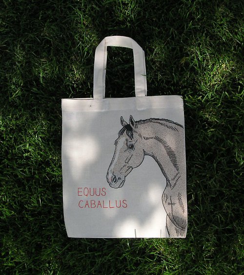Taška EQUUS — foto 2