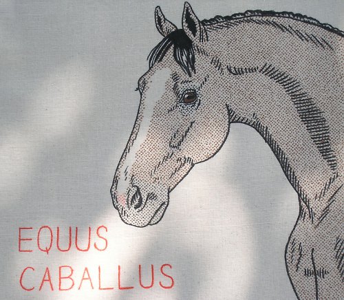 Taška EQUUS — foto 4