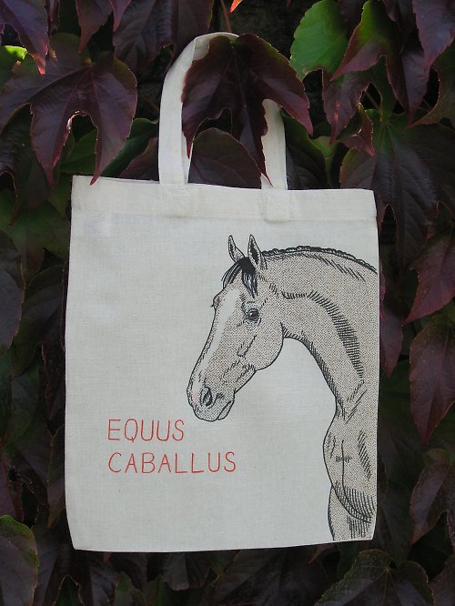 Taška EQUUS — foto 5